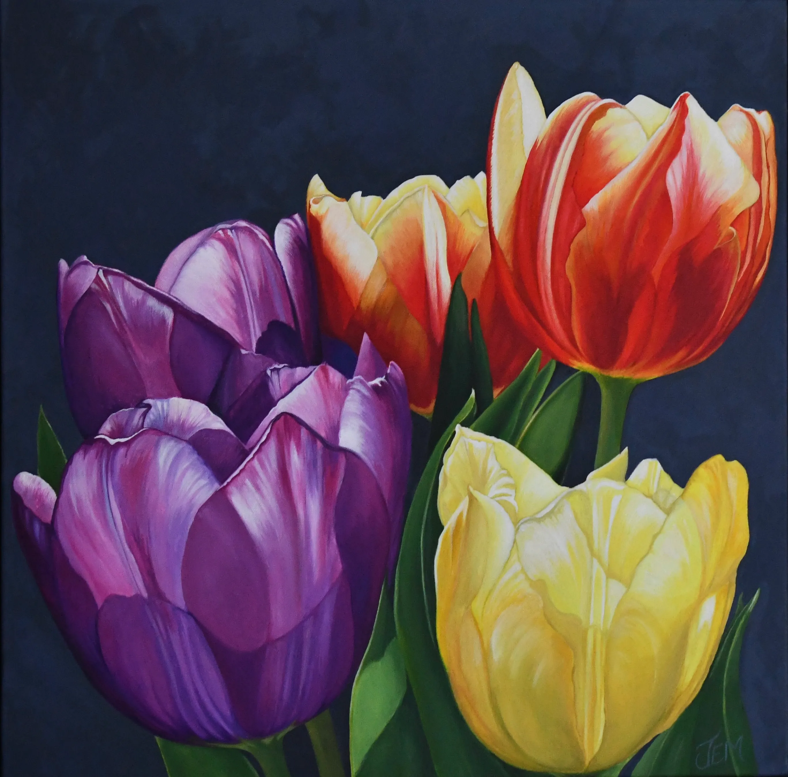 Dark Tulips