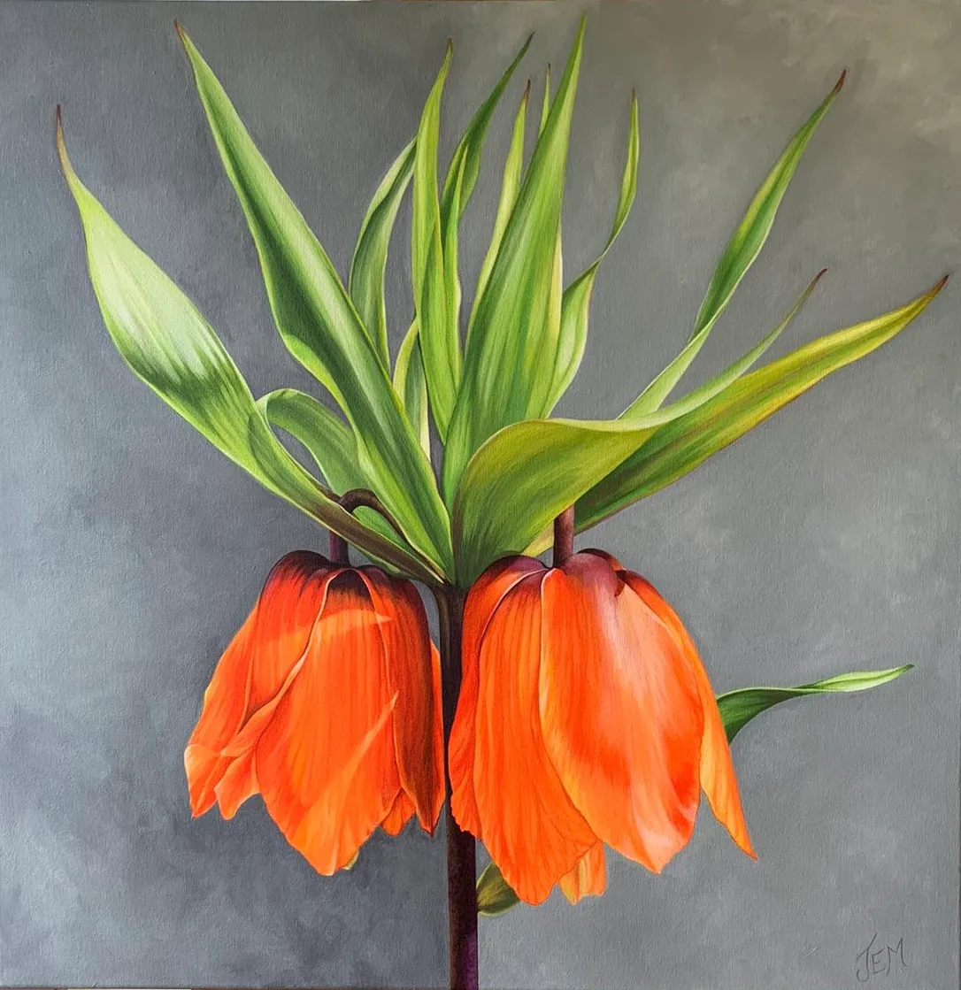 Fritillaria