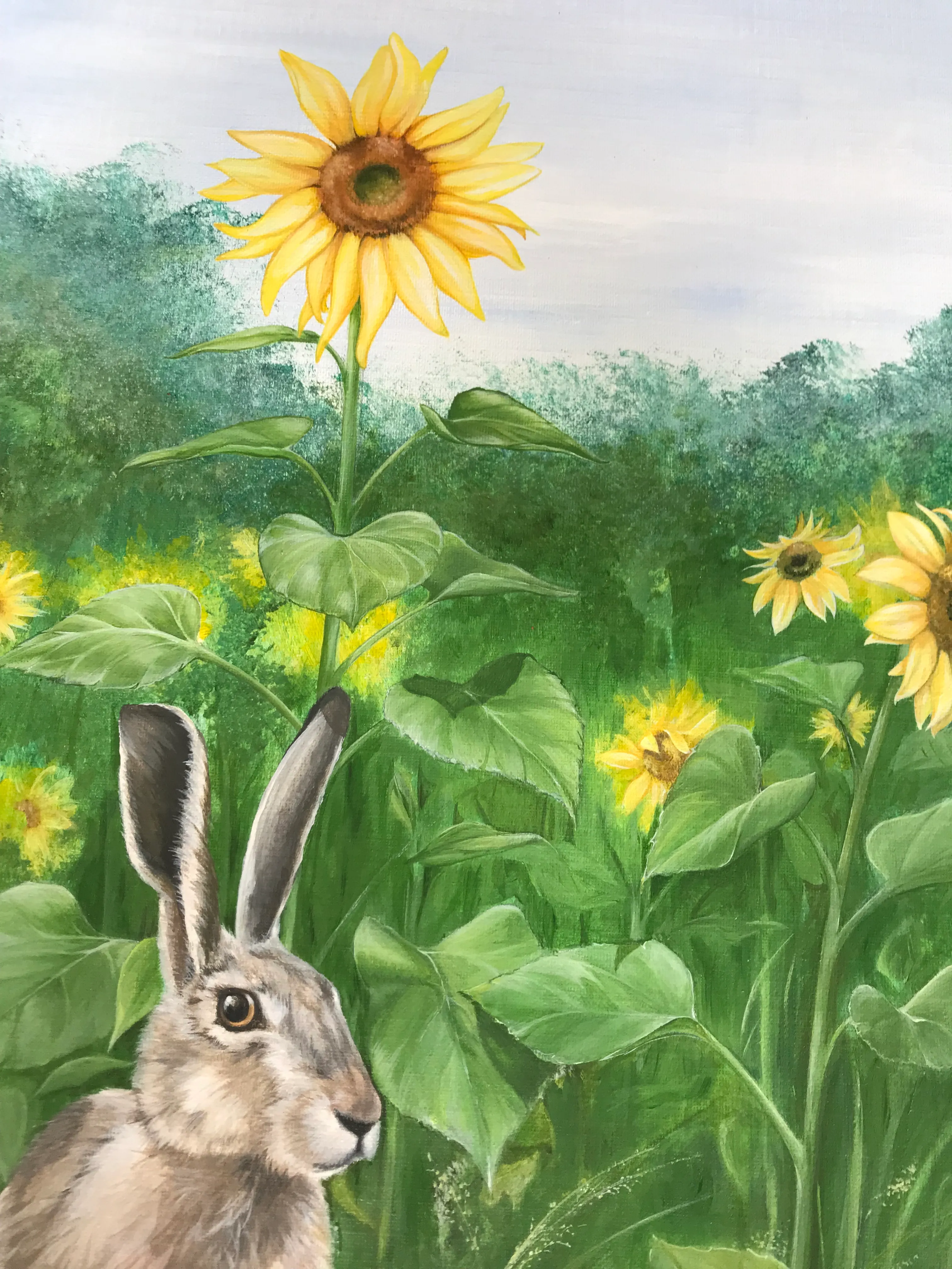 Hare comes the Sun…. Flower