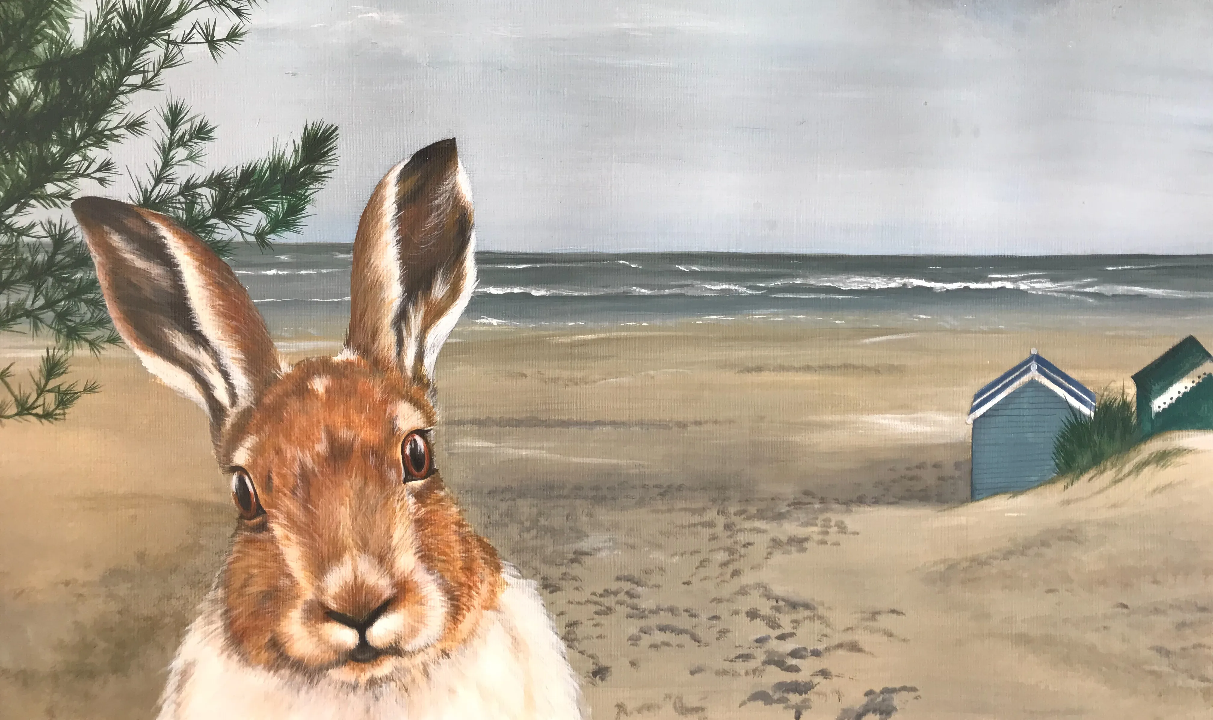 Hare I am at Wells next the sea